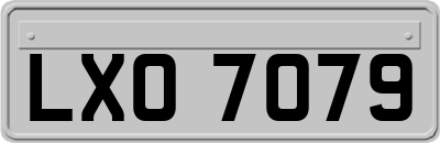 LXO7079