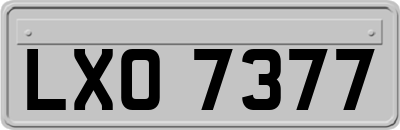 LXO7377