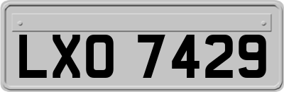 LXO7429