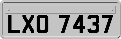 LXO7437
