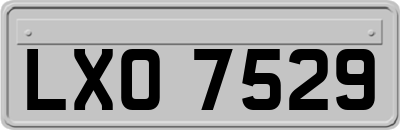 LXO7529