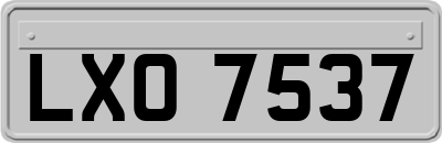 LXO7537