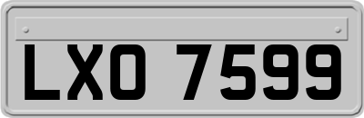 LXO7599