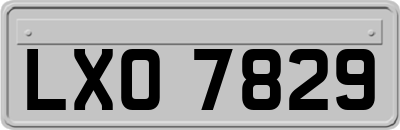 LXO7829