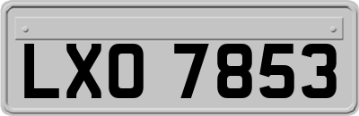 LXO7853