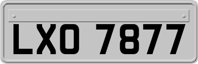 LXO7877