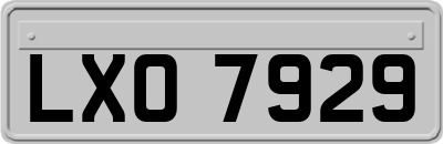 LXO7929