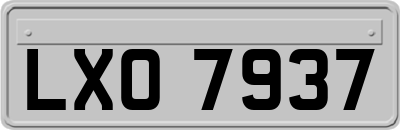 LXO7937