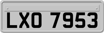 LXO7953