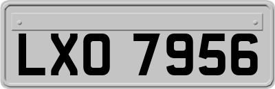 LXO7956