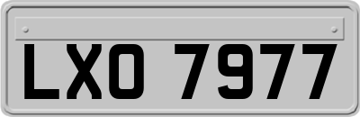 LXO7977
