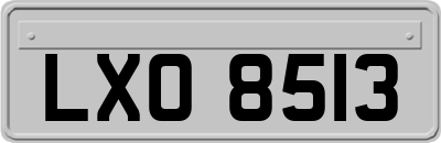 LXO8513