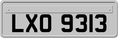 LXO9313