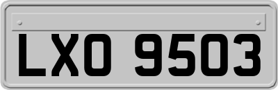 LXO9503