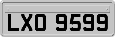 LXO9599