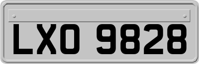 LXO9828