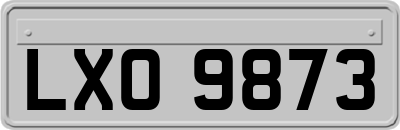 LXO9873