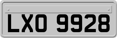 LXO9928