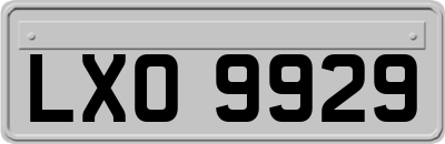 LXO9929