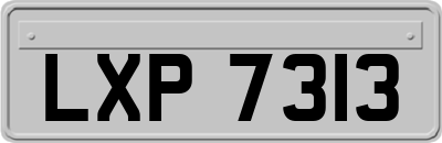 LXP7313