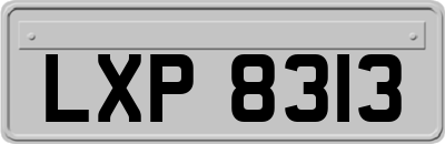LXP8313