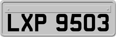 LXP9503