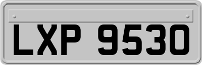 LXP9530