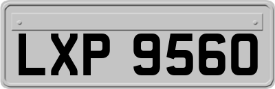 LXP9560