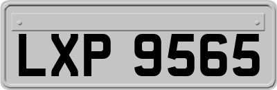 LXP9565