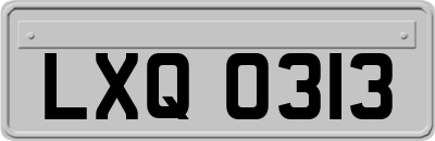 LXQ0313