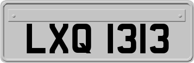 LXQ1313