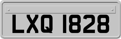 LXQ1828