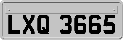 LXQ3665