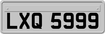 LXQ5999