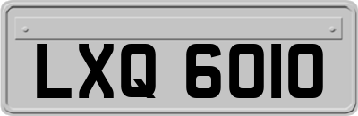 LXQ6010