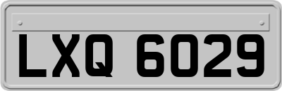 LXQ6029