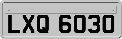 LXQ6030