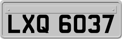 LXQ6037