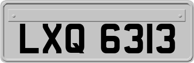 LXQ6313