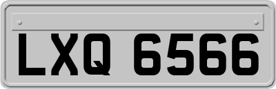 LXQ6566