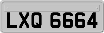 LXQ6664