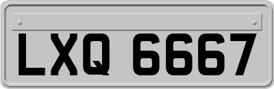 LXQ6667