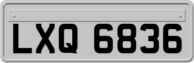 LXQ6836