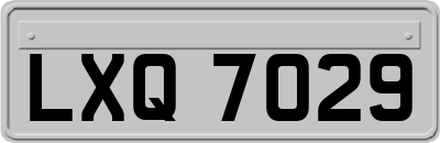 LXQ7029