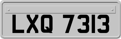 LXQ7313