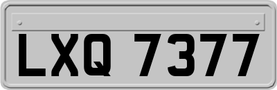 LXQ7377