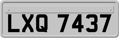 LXQ7437