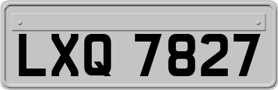 LXQ7827