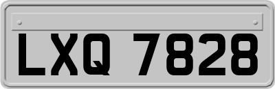 LXQ7828