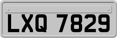 LXQ7829